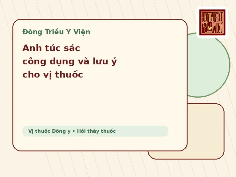 Anh túc sác công dụng và lưu ý cho vị thuốc theo Đông y