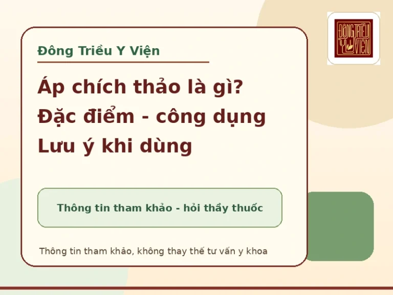 Áp chích thảo: đặc điểm, công dụng tham khảo và lưu ý an toàn