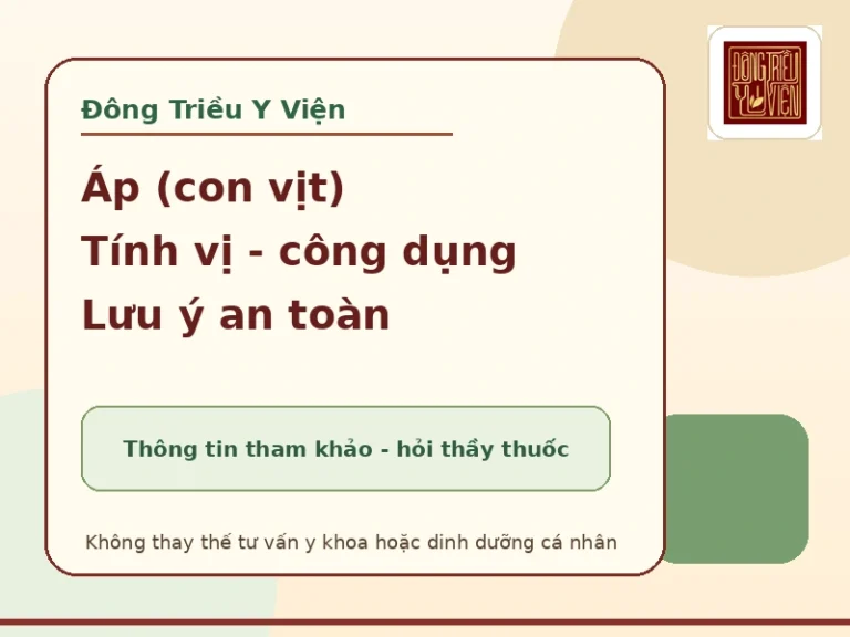 Áp (con vịt) trong Đông y: tính vị, công dụng tham khảo và lưu ý an toàn