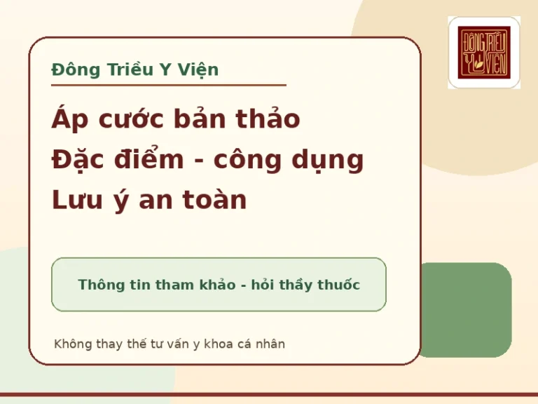 Áp cước bản thảo trong Đông y: đặc điểm, công dụng tham khảo và lưu ý an toàn