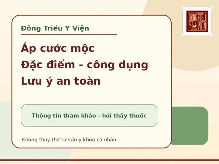 Áp cước mộc trong Đông y: đặc điểm, công dụng tham khảo và lưu ý an toàn
