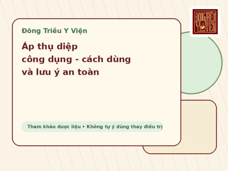 Áp thụ diệp: thành phần, công dụng tham khảo và lưu ý an toàn