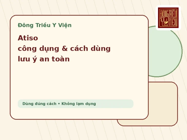 Atiso công dụng cách dùng và lưu ý an toàn theo Đông y