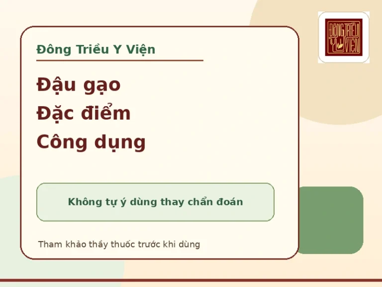 Đậu gạo: đặc điểm, công dụng và lưu ý an toàn