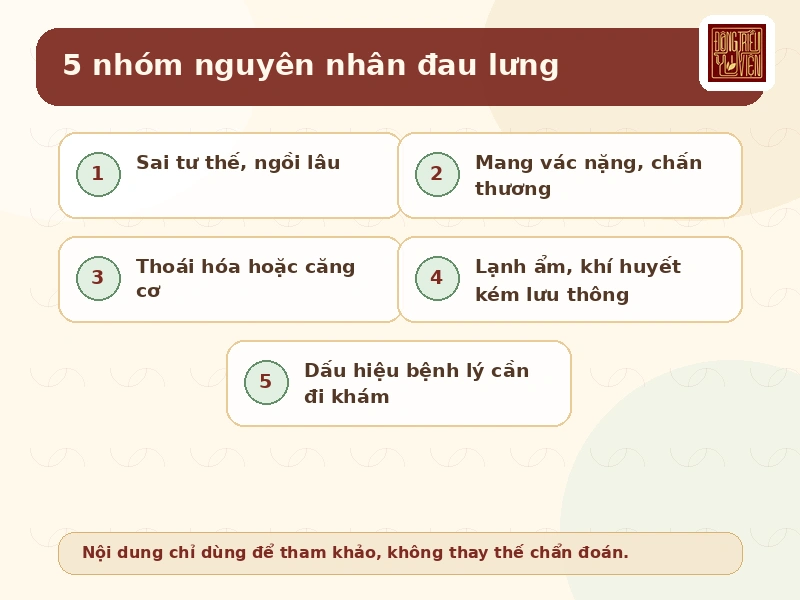 5 nhóm nguyên nhân đau lưng thường gặp