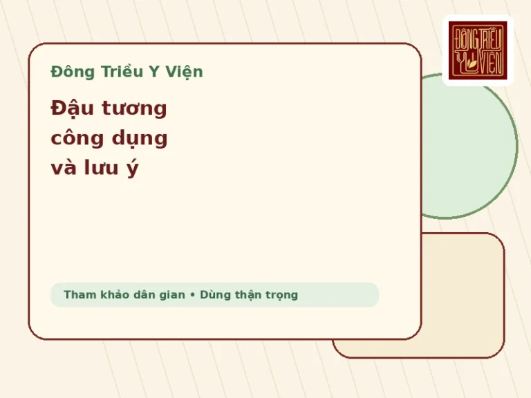 Đậu tương công dụng cách dùng và lưu ý an toàn theo Đông y