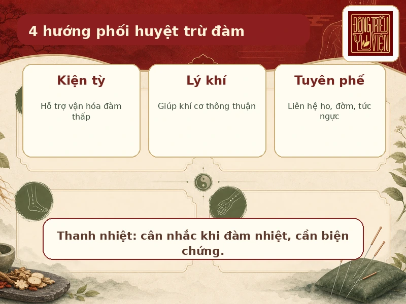 4 hướng phối huyệt trừ đàm thường được nhắc trong châm cứu