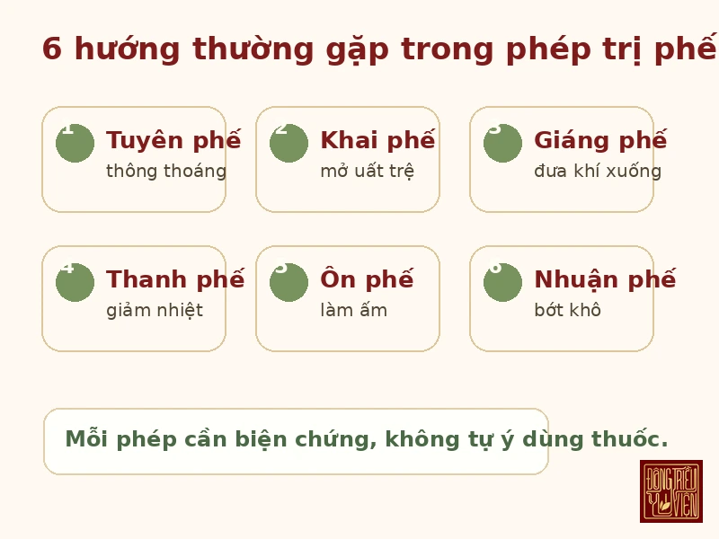 Infographic 6 hướng thường gặp trong phép trị phế Đông y