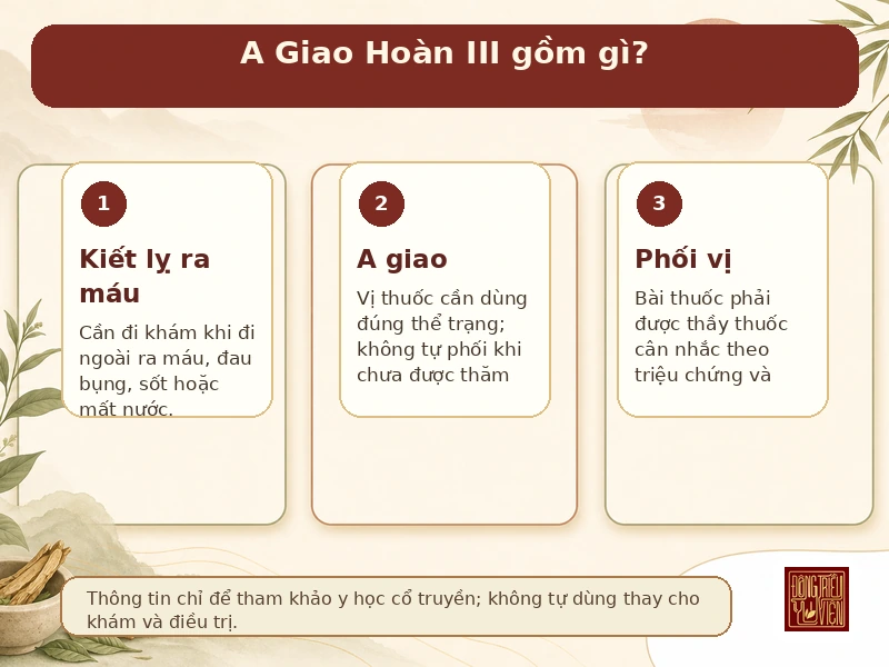 Infographic A Giao Hoàn III và kiết lỵ ra máu