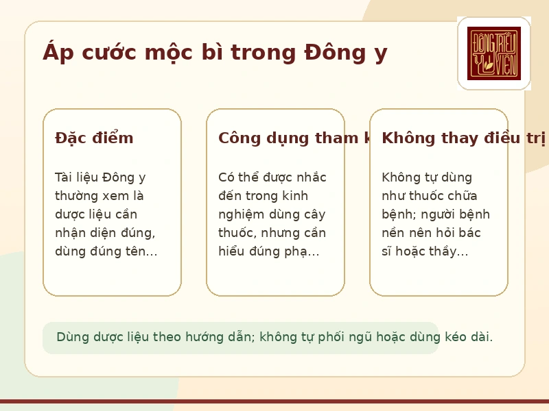 Infographic Áp cước mộc bì: đặc điểm và công dụng tham khảo