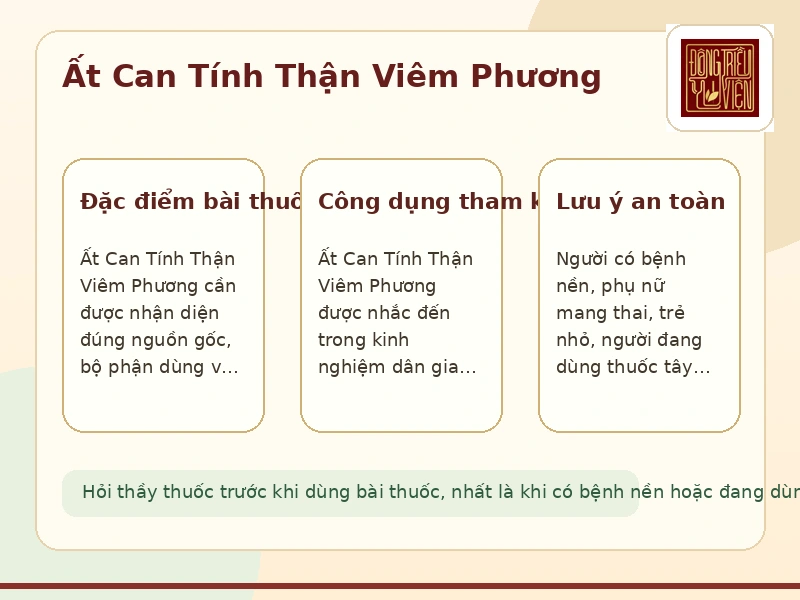 Infographic Ất Can Tính Thận Viêm Phương: đặc điểm và công dụng