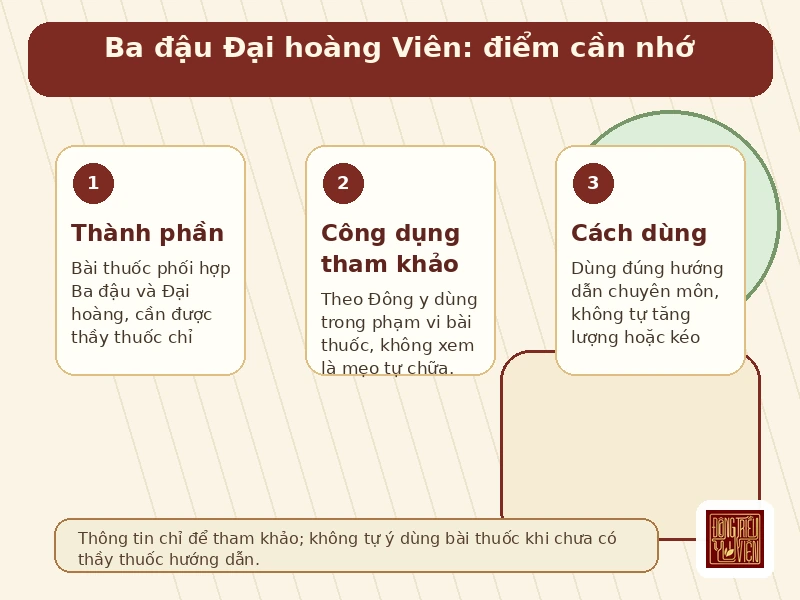 Infographic Ba đậu Đại hoàng Viên: công dụng và cách dùng