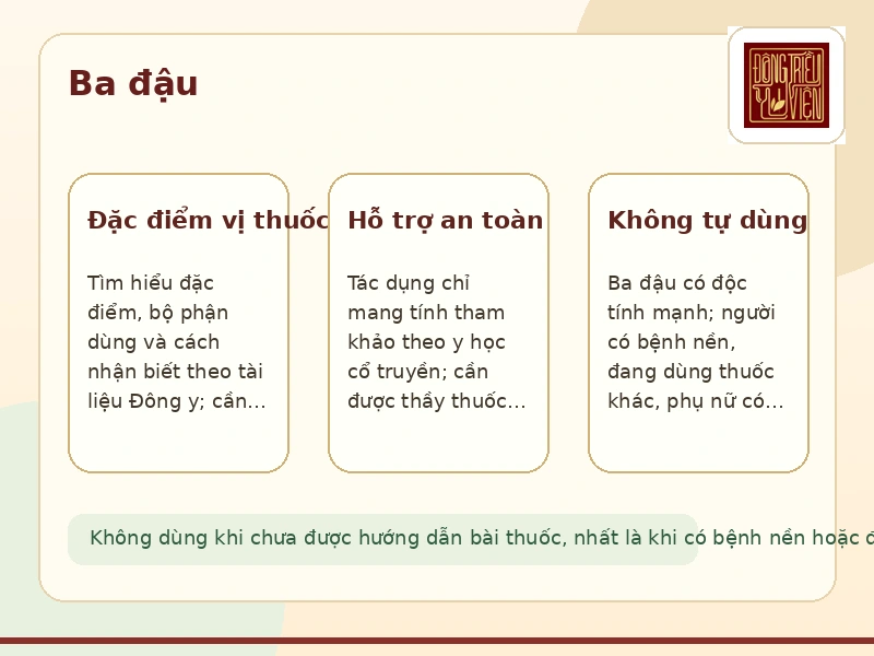 Infographic Ba đậu: cách dùng tham khảo và lưu ý