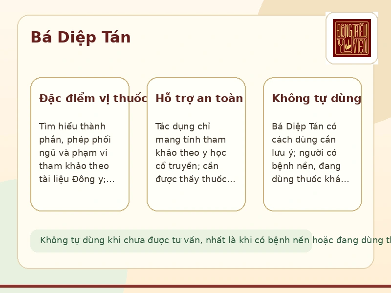 Infographic Bá Diệp Tán: thành phần, công dụng và lưu ý