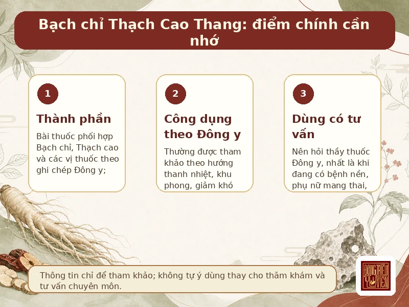 Infographic Bạch chỉ Thạch Cao Thang: điểm chính và lưu ý theo Đông y