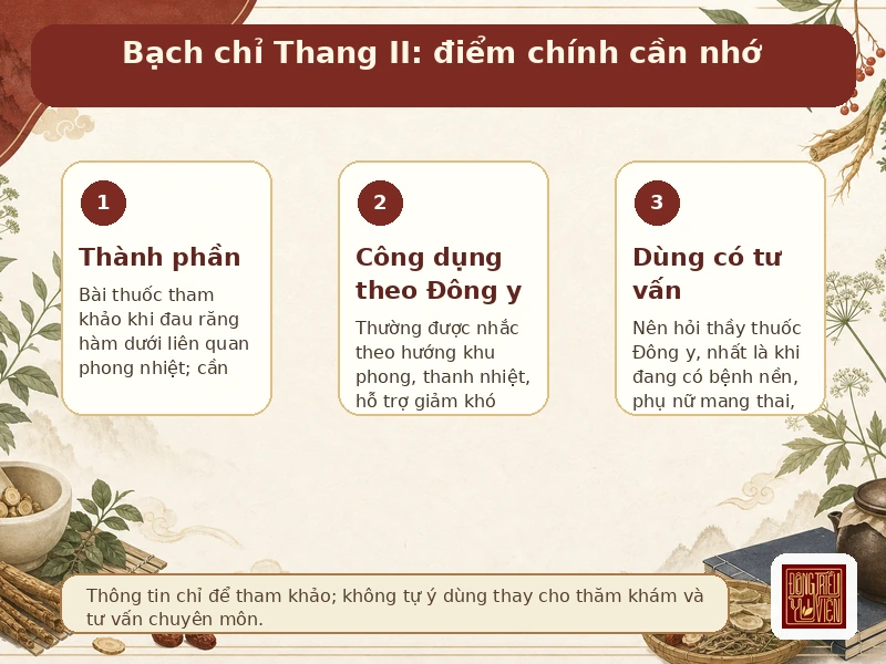 Infographic Bạch chỉ Thang II: điểm chính và lưu ý theo Đông y