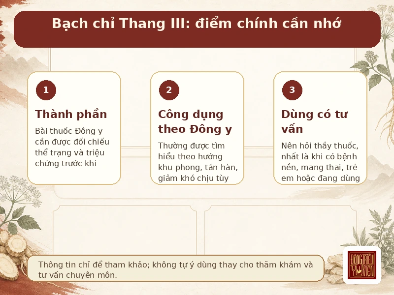 Infographic Bạch chỉ Thang III: điểm chính về công dụng và cách dùng