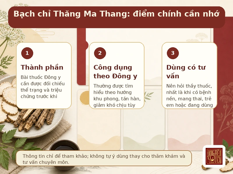 Infographic Bạch chỉ Thăng Ma Thang: điểm chính về công dụng và cách dùng