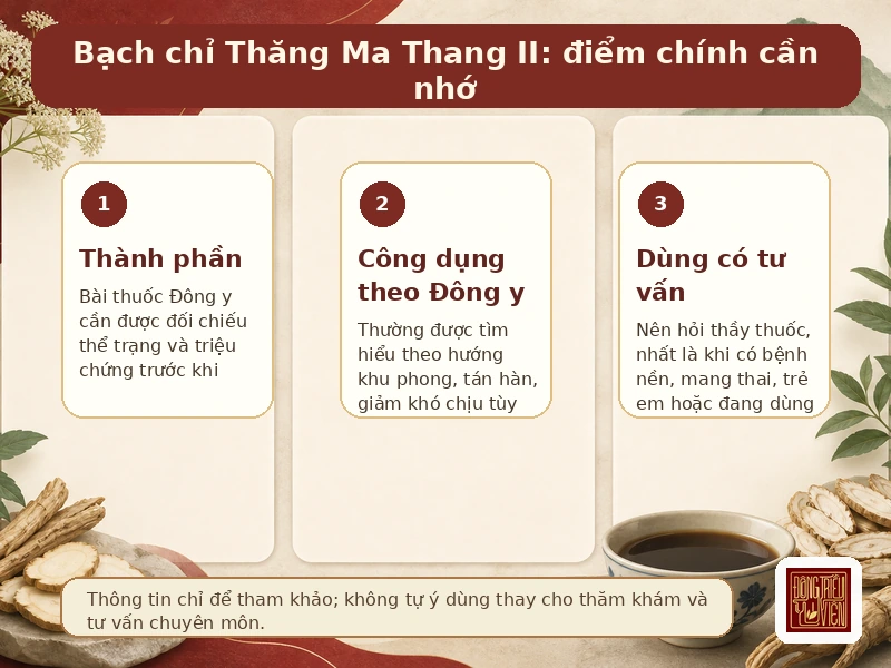 Infographic Bạch chỉ Thăng Ma Thang II: điểm chính về công dụng và cách dùng
