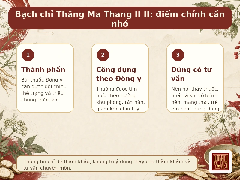 Infographic Bạch chỉ Thăng Ma Thang II II: điểm chính về công dụng và cách dùng