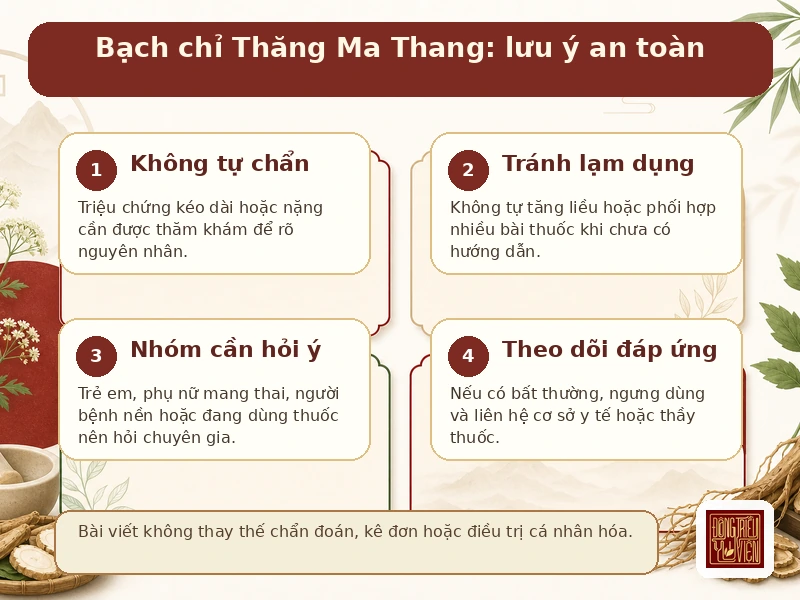 Infographic Bạch chỉ Thăng Ma Thang: lưu ý an toàn
