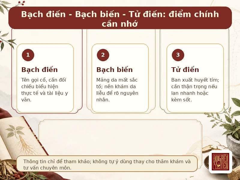 Infographic Bạch điến - Bạch biến - Tử điến: điểm chính và lưu ý tham khảo