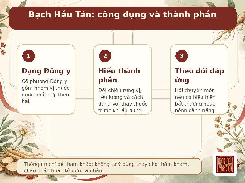 Infographic Bạch Hầu Tán: công dụng - thành phần