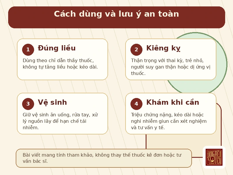 Infographic cách dùng An Hồi Hoàn II