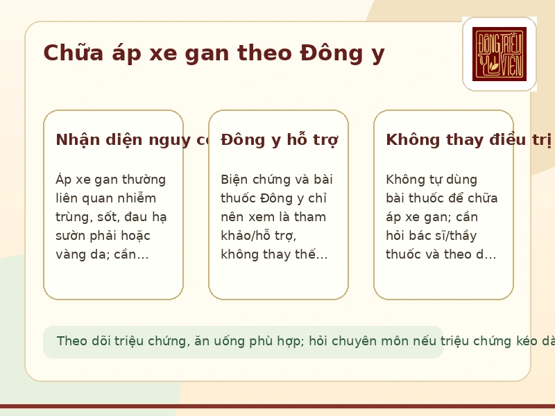 Infographic chữa áp xe gan theo Đông y trong áp xe gan do vi khuẩn