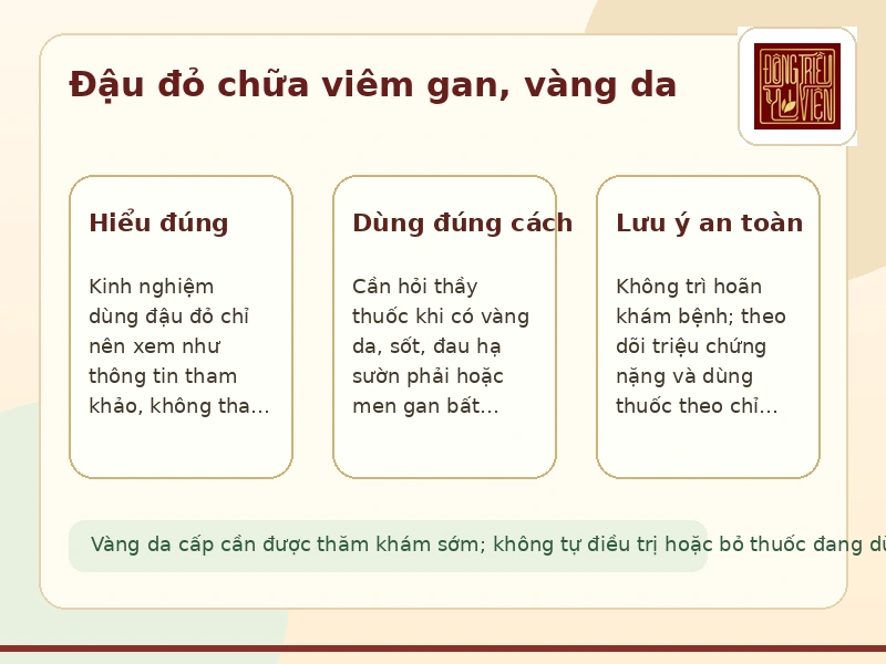 Infographic Đậu đỏ chữa viêm gan, vàng da và dấu hiệu cần lưu ý