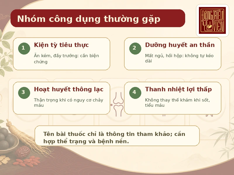 Infographic nhóm công dụng thường gặp của thuốc hoàn Đông y