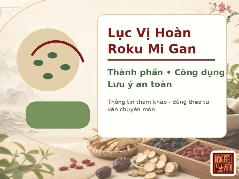 Lục Vị Hoàn (Roku Mi Gan): thành phần, công dụng và lưu ý khi dùng