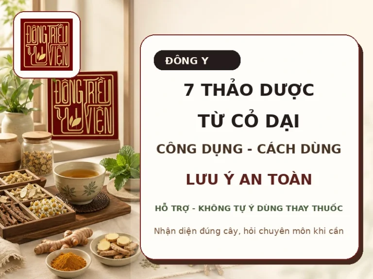 7 loại thảo dược từ cỏ dại theo Đông y