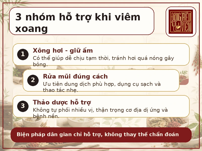 Infographic nhóm bài thuốc dân gian hỗ trợ viêm xoang