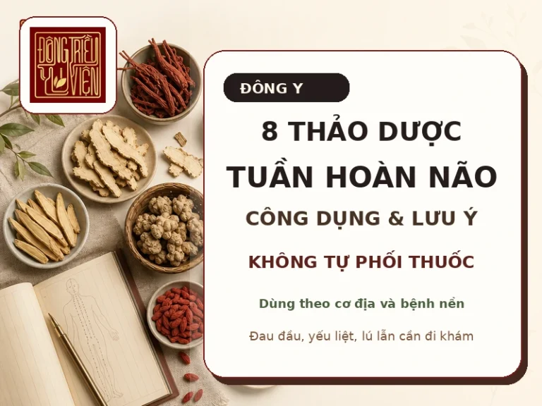 8 thảo dược hỗ trợ tuần hoàn não theo góc nhìn Đông y