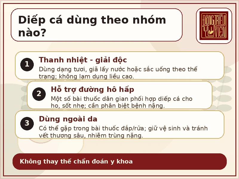 Infographic nhóm bài thuốc từ diếp cá
