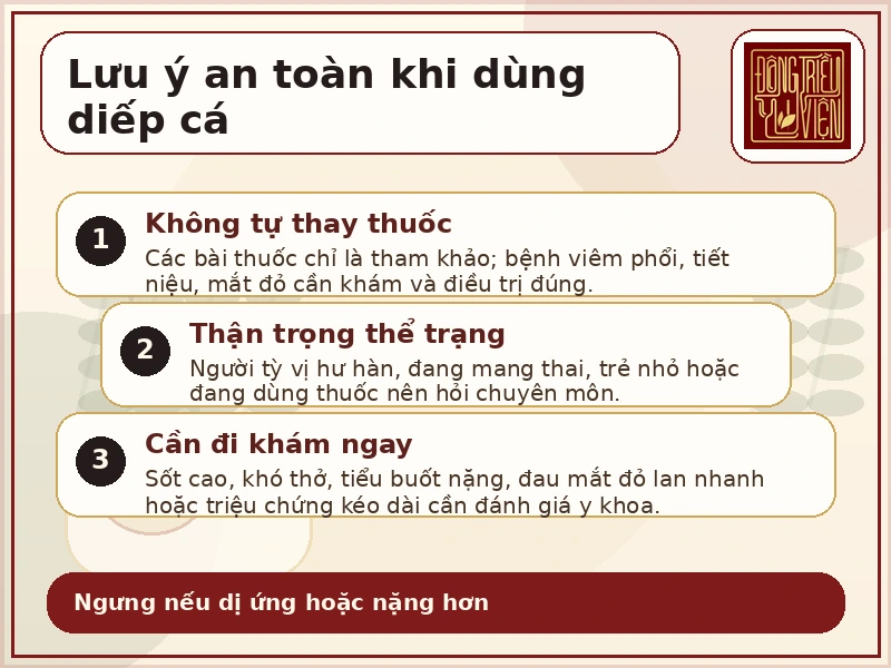 Infographic lưu ý an toàn khi dùng diếp cá
