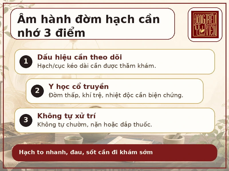 Infographic Âm hành đờm hạch: hạch/cục dưới da và lưu ý an toàn