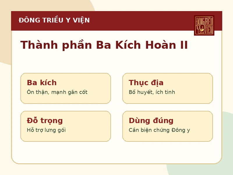 Infographic thành phần chính của bài thuốc Ba Kích Hoàn II