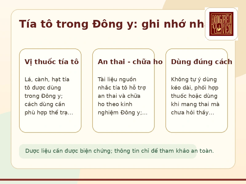 Infographic tía tô trong Đông y