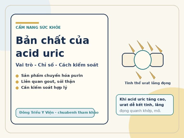 Bản chất của acid uric: vai trò, chỉ số và cách kiểm soát an toàn