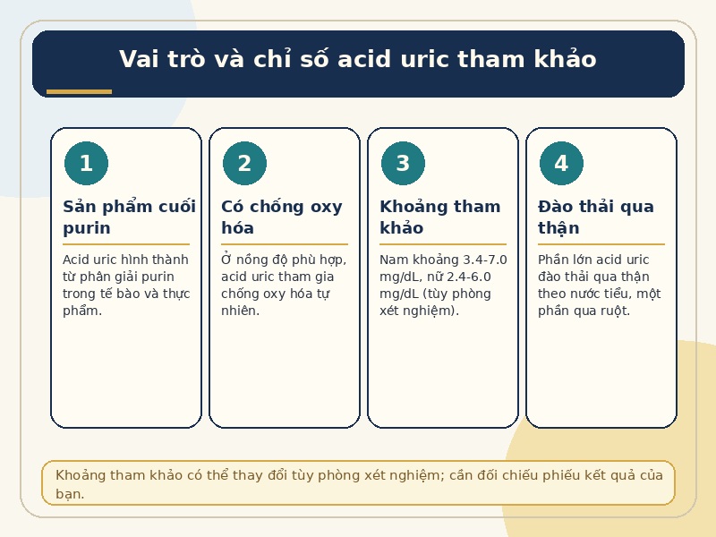 Infographic vai trò của acid uric và khoảng chỉ số tham khảo trong xét nghiệm máu