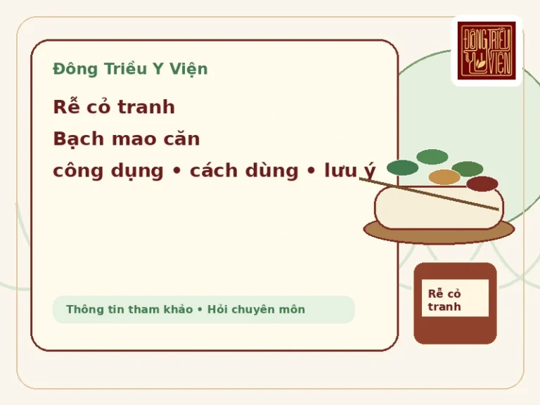 Rễ cỏ tranh Bạch mao căn: công dụng, cách dùng và lưu ý an toàn