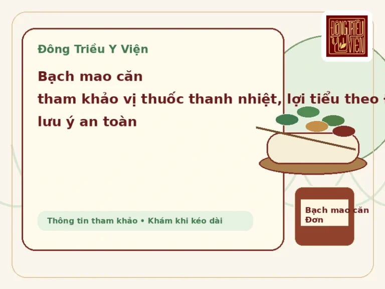 Bạch mao căn: bài thuốc tham khảo vị thuốc thanh nhiệt, lợi tiểu theo Đông y theo y văn cổ và lưu ý an toàn