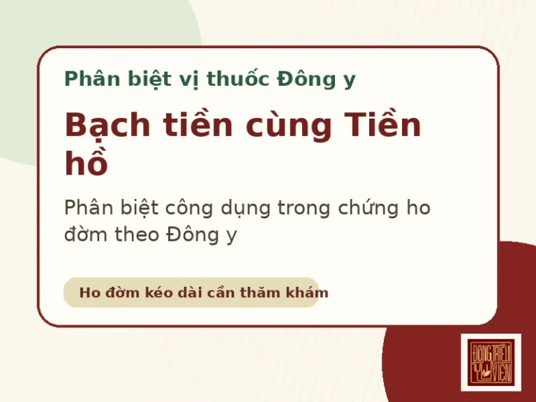 Bạch tiền cùng Tiền hồ - phân biệt vị thuốc Đông y