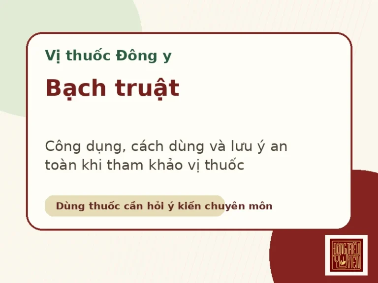 Bạch truật - hỗ trợ vị thuốc Bạch truật theo Đông y