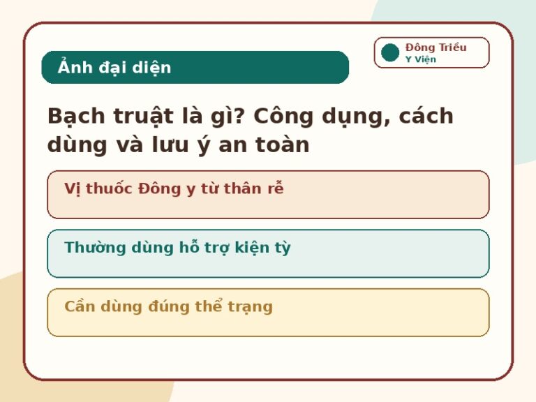 Ảnh đại diện Bạch truật theo phong cách Đông y hiện đại