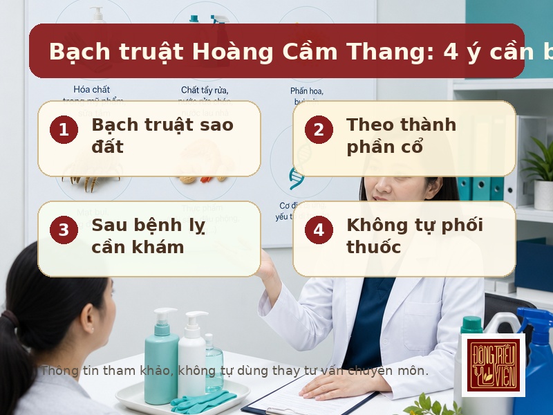 Bạch truật Hoàng Cầm Thang: 4 ý cần biết