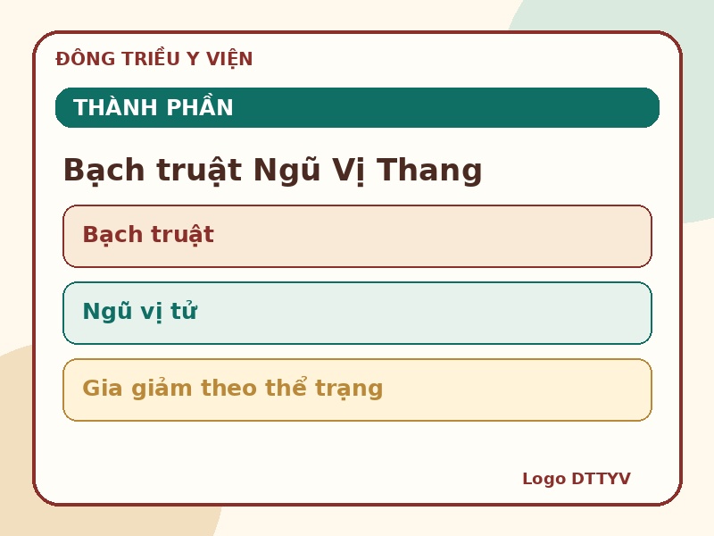 Infographic thành phần chính của Bạch truật Ngũ Vị Thang