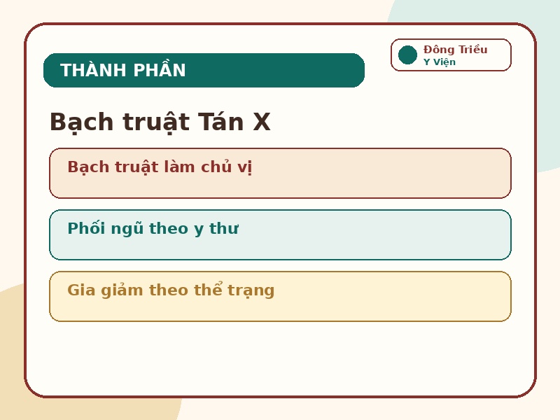 Infographic thành phần bài thuốc Bạch truật Tán X